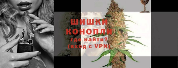 сатива Гвардейск