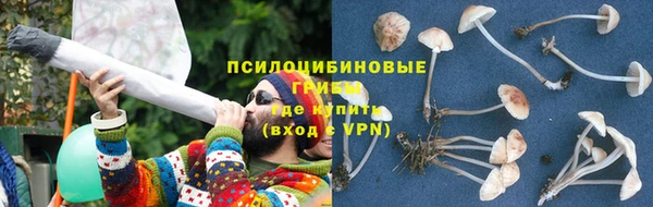 стаф Сатка
